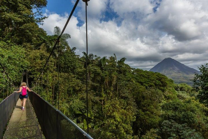 Arenal Hanging Bridges with Professional Guide - Photo 1 of 6